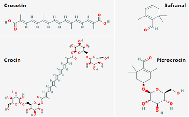 struttura dei componenti più importanti dello zafferano