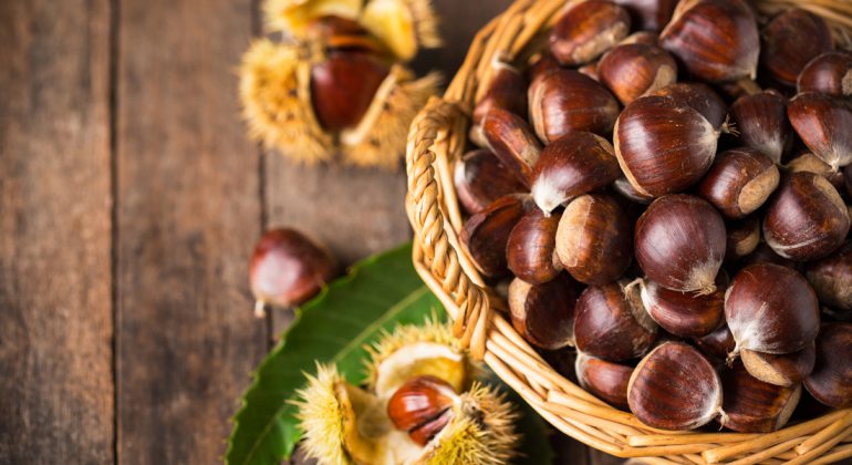 CASTAGNE: I CEREALI CHE CRESCONO SULL’ALBERO