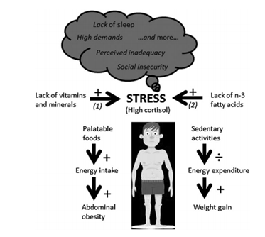Lo stress può essere un ostacolo per apportare modifiche alla dieta e all'esercizio fisico necessario per ottenere il controllo a lungo termine del peso corporeo. Individui con bassa apporto di vitamine (soprattutto vitamine del gruppo B), minerali e grassi n-3 a catena lunga gli acidi potrebbero avere una maggiore suscettibilità allo stress.