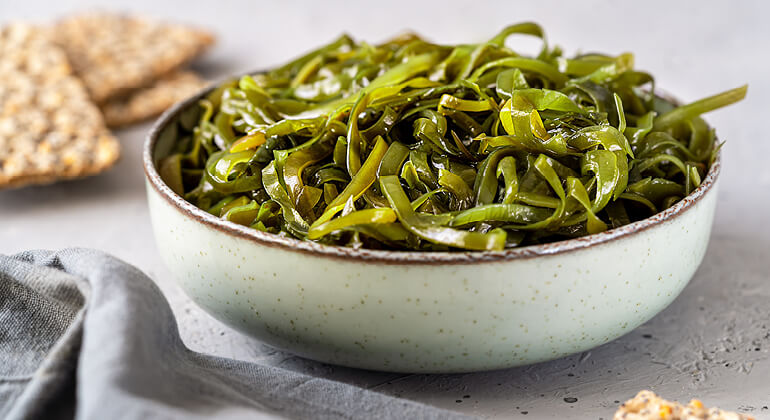 16-07-2025 Proteine alternative- insetti, alghe e altre fonti per una dieta equilibrata