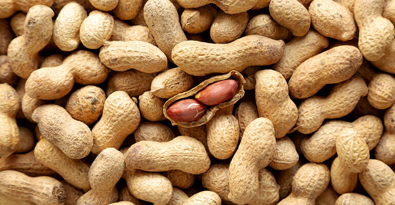 img_blog_Arachidi_valori_nutrizionali